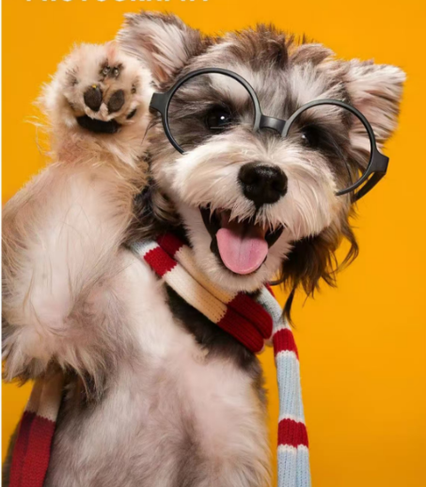 How Tartar Forms and How to Help Prevent It in Dogs and Cats