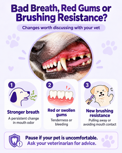 Dental warning signs: breath, gums and brushing resistance