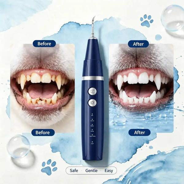 Pet Dental Scaler — At-Home Tartar Remover for Cats & Dogs alternate view