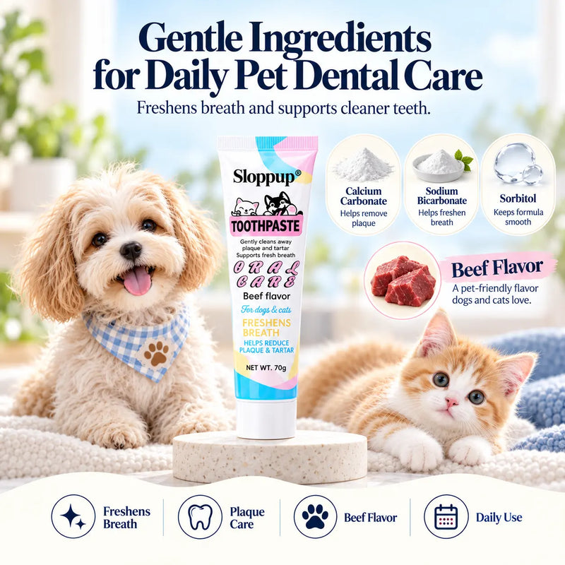 Pet Dental Care Kit for Dogs & Cats – Beef Flavor Toothpaste & 3-Sided Toothbrush | VTIISAMAO