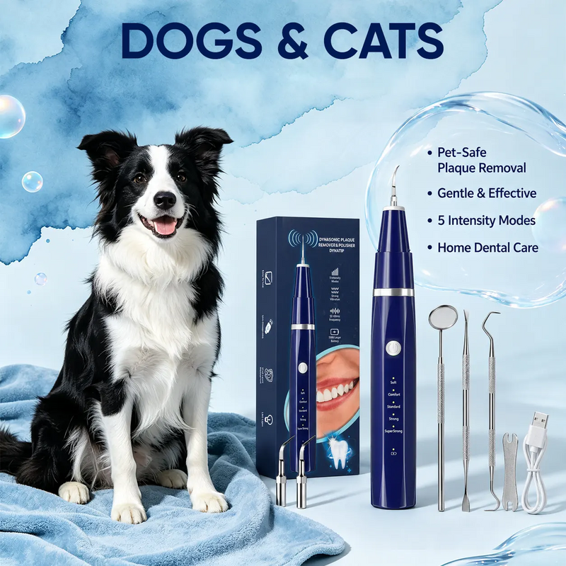 A dog dental cleaning kit displayed with a black-and-white dog sitting on a blue towel, the blue electric pet toothbrush, its box, and several metal cleaning tools on a light blue background with text reading 'DOGS & CATS' and feature bullet points.