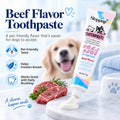Pet Dental Care Kit for Dogs & Cats – Beef Flavor Toothpaste & 3-Sided Toothbrush | VTIISAMAO