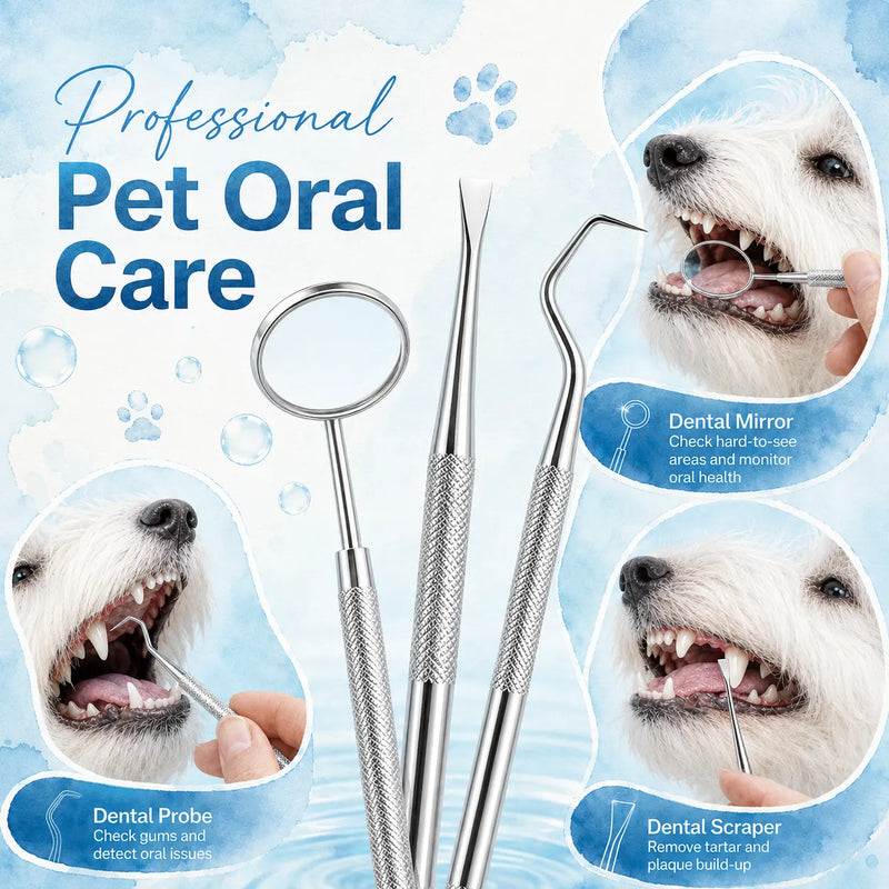 A set of stainless steel pet oral care tools including a dental mirror, dental probe, and dental scraper, presented on a light blue watercolor background with inset photos of a white dog demonstrating their use.