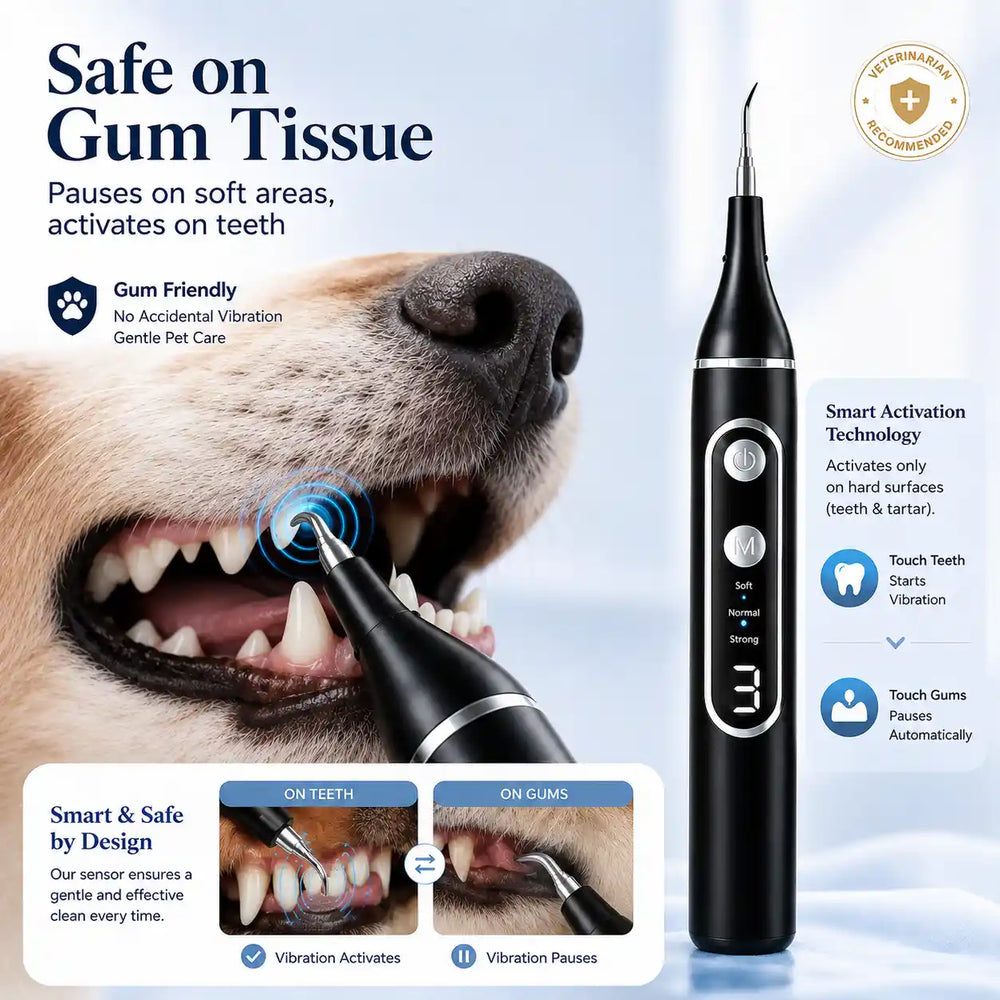 A pet oral care electric toothbrush shown in a promotional graphic with a close-up of a dog's mouth using it. The product is black with silver buttons and a blue display, with marketing text highlighting 'Safe on Gum Tissue' and 'Gum Friendly' for pets.