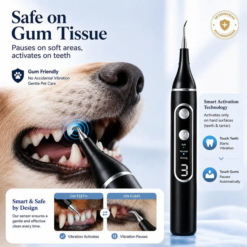Vtiisamao Complete Pet Dental Care Kit — At-Home Tartar Remover for Dogs & Cats