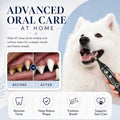 Vtiisamao Complete Pet Dental Care Kit — At-Home Tartar Remover for Dogs & Cats