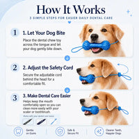 Dog Dental Chew & Cleaning Assistant with Adjustable Safety Cord (2-Pack)