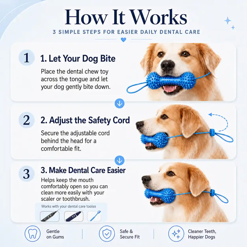 Dog Dental Chew & Cleaning Assistant with Adjustable Safety Cord (2-Pack)
