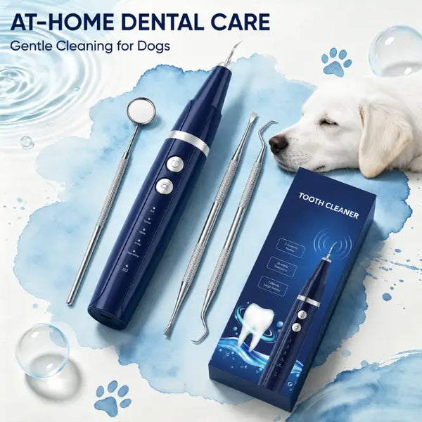 Pet Dental Scaler — At-Home Tartar Remover for Cats & Dogs