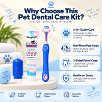 Pet Dental Care Kit for Dogs & Cats – Beef Flavor Toothpaste & 3-Sided Toothbrush | VTIISAMAO
