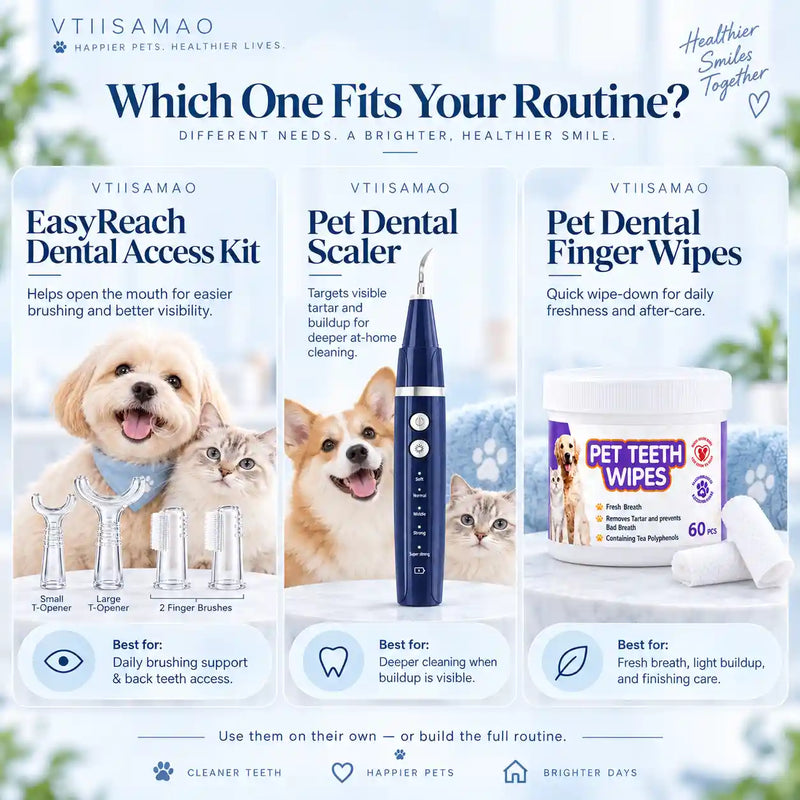 Clear Dental Access Set for Dogs & Cats – 4 Piece