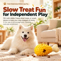 Treat-Dispensing Dental Chew Toy