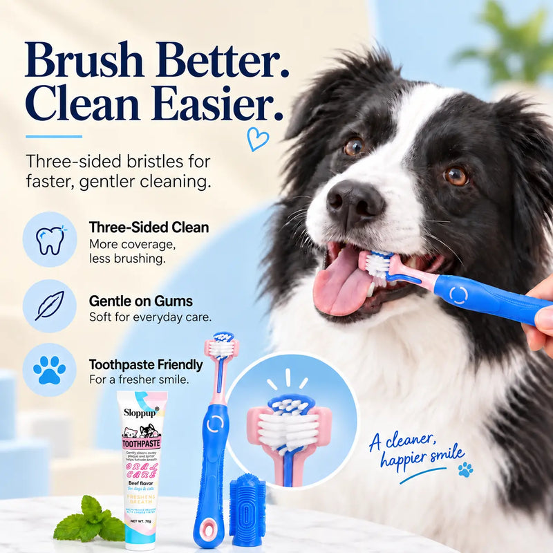 A dog brushing its teeth with a blue pet toothbrush, shown in a promotional ad with text callouts and product packaging including a tube of Slipjaws pet toothpaste and a small blue brush accessory.