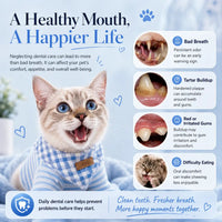 Vtiisamao Complete Pet Dental Care Kit — At-Home Tartar Remover for Dogs & Cats