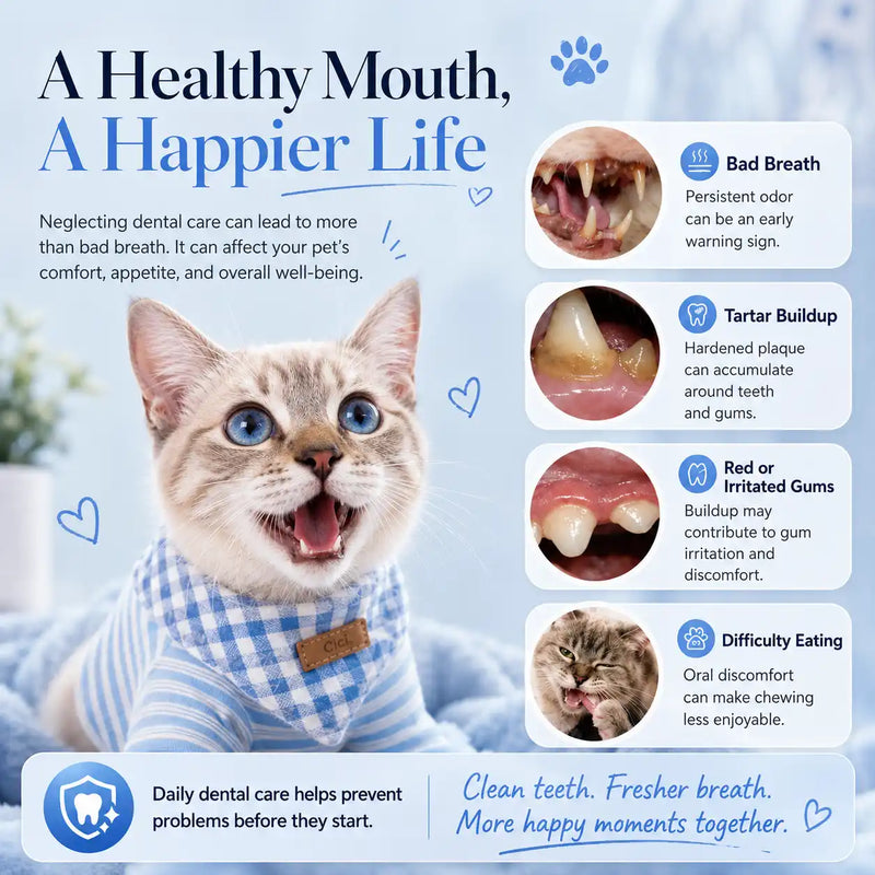 Vtiisamao Complete Pet Dental Care Kit — At-Home Tartar Remover for Dogs & Cats