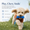 Dog Dental Chew & Cleaning Assistant (Bundle Add-on)