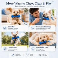 Dog Dental Chew & Cleaning Assistant with Adjustable Safety Cord (2-Pack)