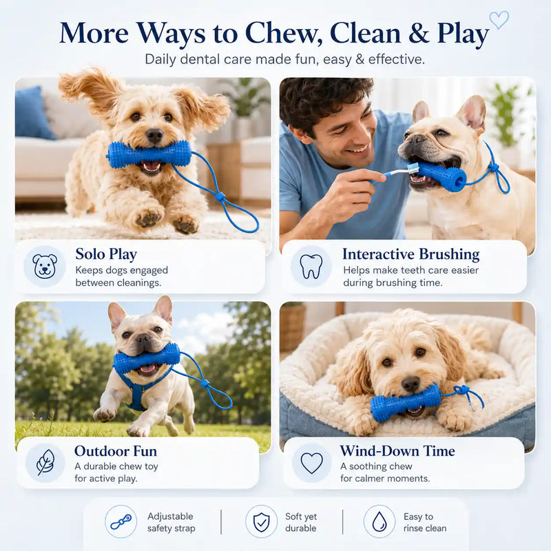 Dog Dental Chew & Cleaning Assistant (Bundle Add-on)