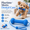 Dog Dental Chew & Cleaning Assistant (Bundle Add-on)