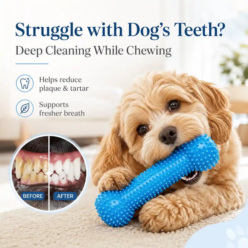 Dog Dental Chew & Cleaning Assistant (Bundle Add-on)
