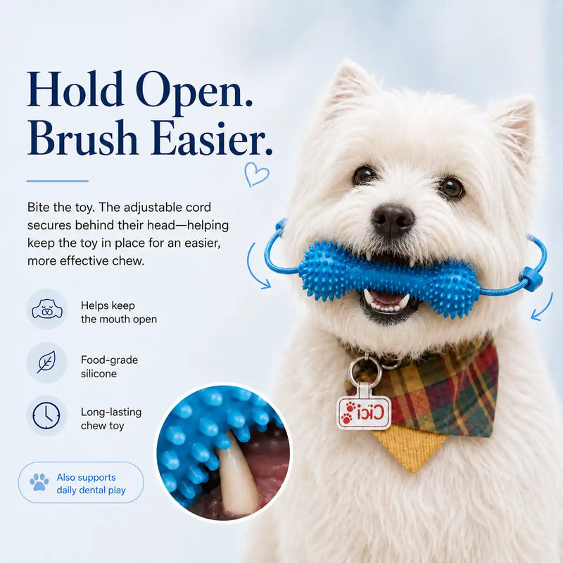 Dog Dental Chew & Cleaning Assistant (Bundle Add-on)