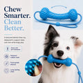 Dog Dental Chew & Cleaning Assistant (Bundle Add-on)