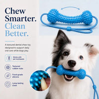 Dog Dental Chew & Cleaning Assistant with Adjustable Safety Cord (2-Pack)