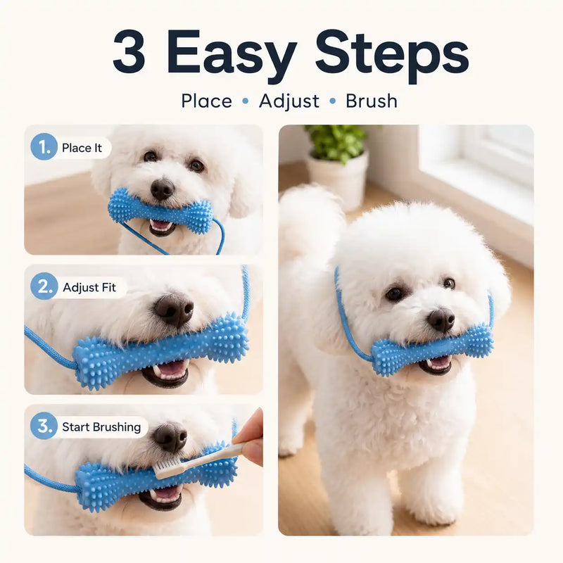 Dog Dental Mouth Opener & Chew Assistant （2 Pack） (Bundle Add-on)