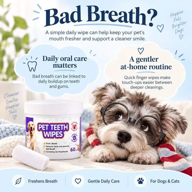 Pet Dental Finger Wipes for Dogs & Cats – 60 Count