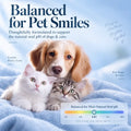 Pet Dental Finger Wipes for Dogs & Cats – 60 Count