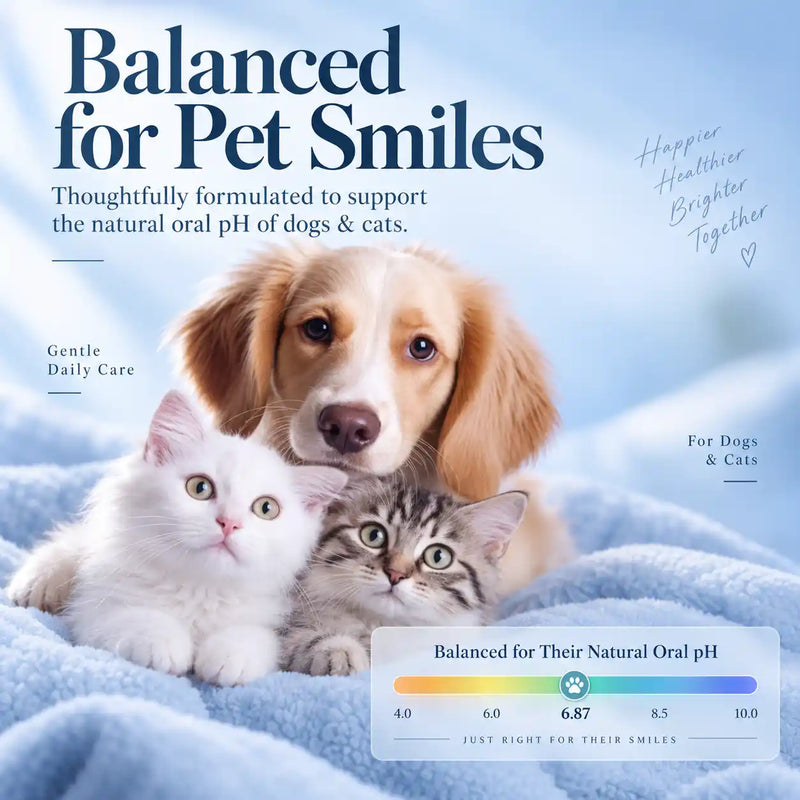 Pet Dental Finger Wipes for Dogs & Cats – 60 Count