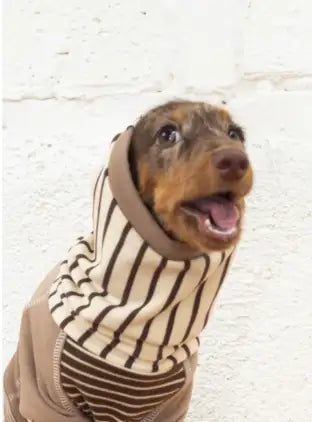 Happy Pet Parent