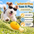 Treat-Dispensing Dental Chew Toy