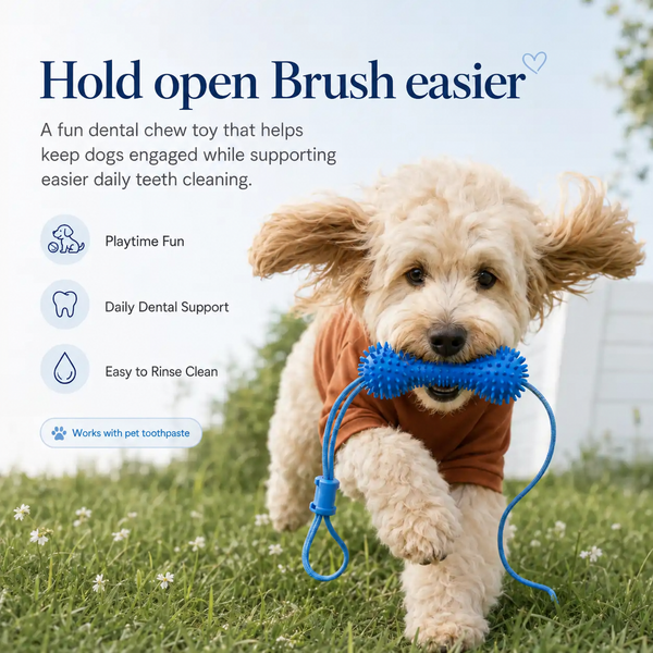 Dog Dental Mouth Opener & Chew Assistant （2 Pack）