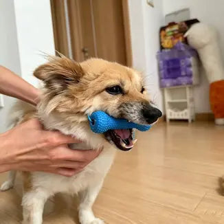Blue mouth opener shown with a dog